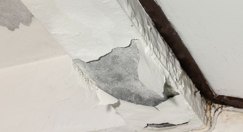 Ceiling Water Damage Repair