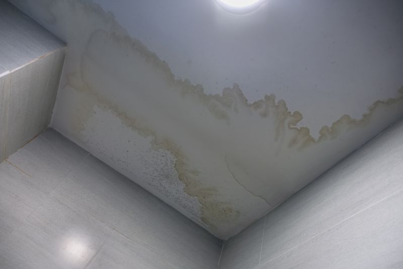 Ceiling Drywall Repair detail